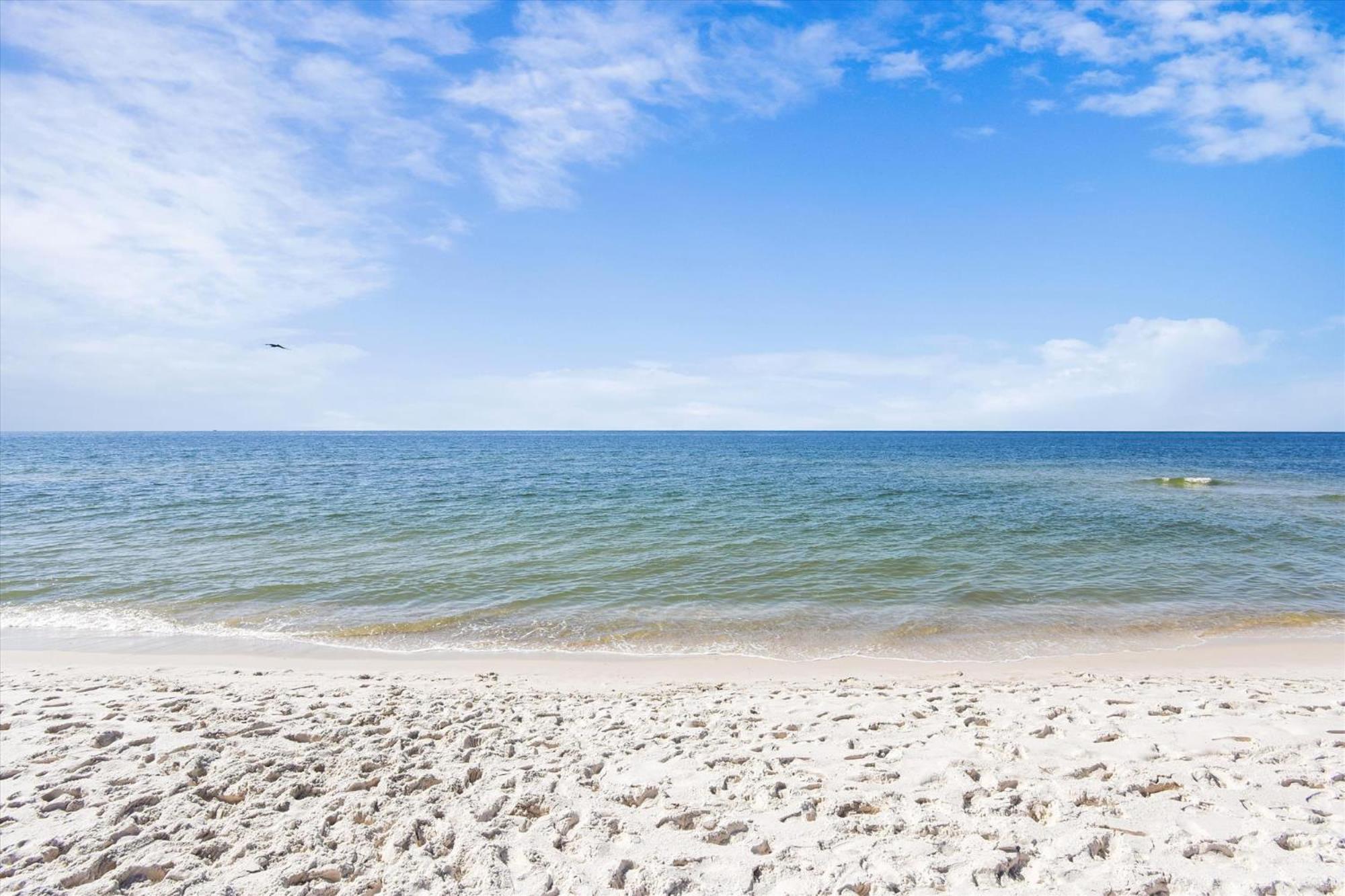 Tradewinds Unit 608 Villa Orange Beach Eksteriør billede